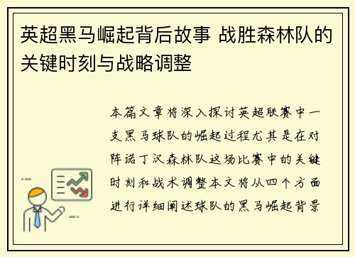 英超黑马崛起背后故事 战胜森林队的关键时刻与战略调整